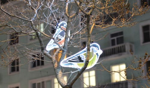 DSC_2015.jpg