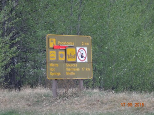 Покахонтас - уже лучше - помоют,накормят,спать уложат, но не нальют!