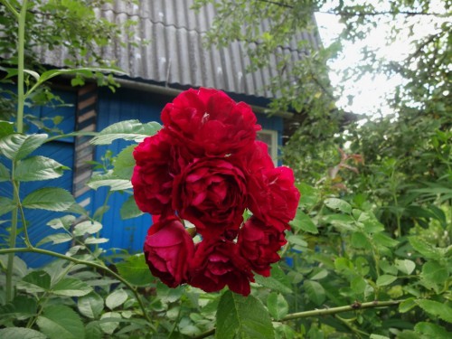 DSC03555.JPG