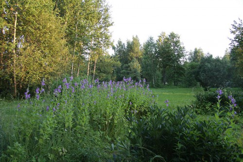 IMG_0292_1.jpg