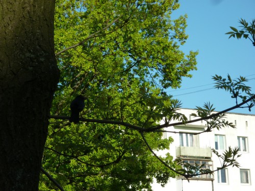 P1160745+.jpg