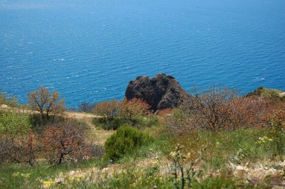 DSC_0499.JPG