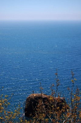 DSC_0508.JPG