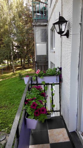 IMG_20150716_132455.jpg