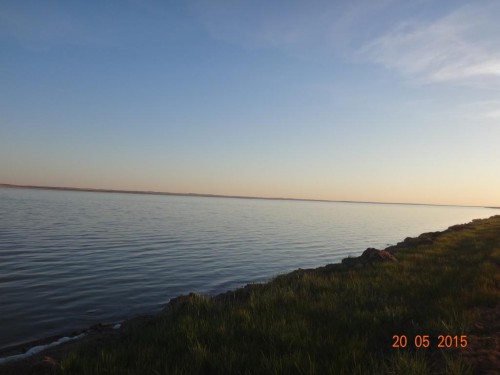 DSC06538.JPG