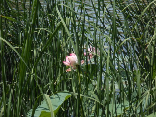 DSCN4985.JPG