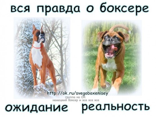 Фото из интернета (правда жизни )))