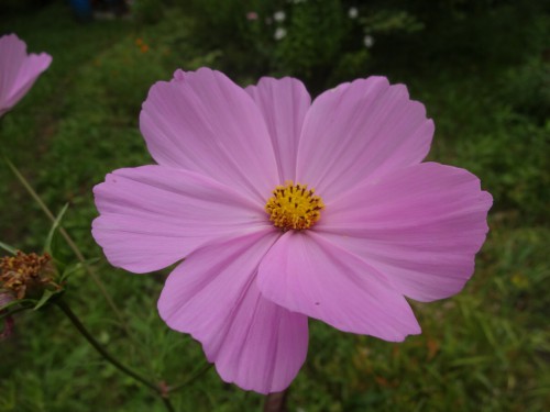 DSC04109.JPG