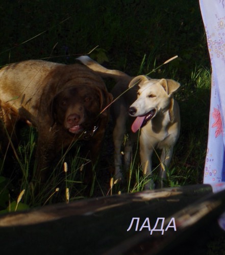 волшебная аллея 5.jpg