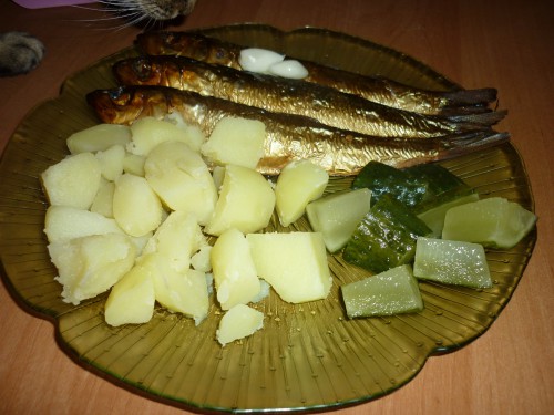 P1170165+.jpg