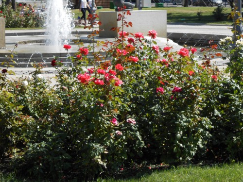 DSCN5674.JPG