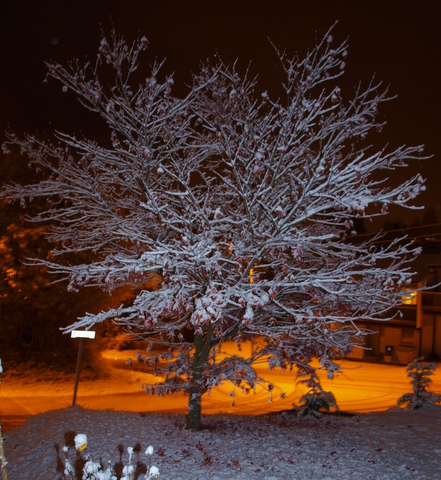 Платки 003-1.JPG