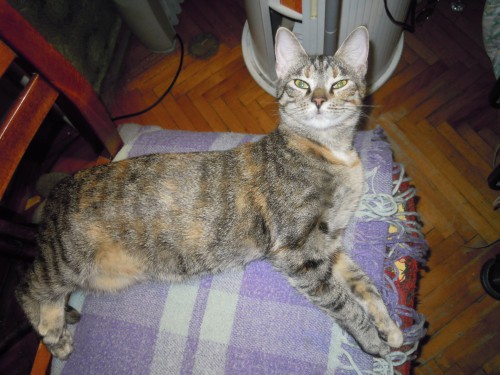 DSCN0475.JPG