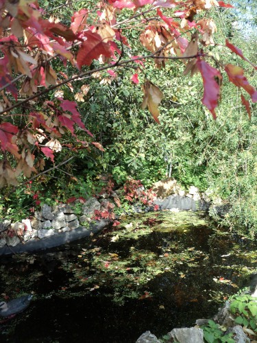 DSC02876.JPG