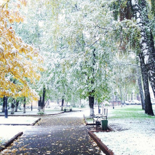 Последний день сентября в Томске 30.09.2015.jpg
