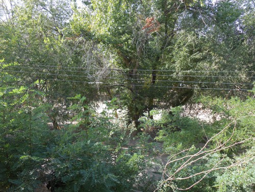 DSCN5890.JPG