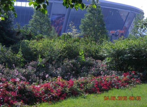 2-1  Донбасс арена.jpg
