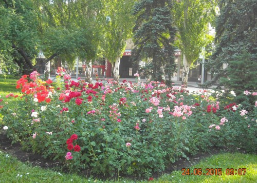 площадь Ленина