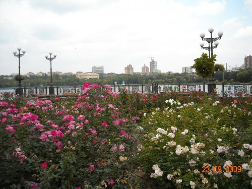 парк 2009 г