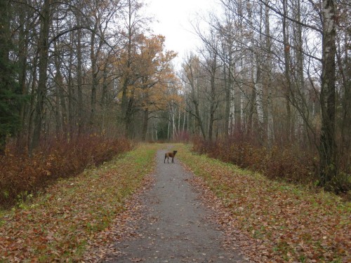25.10.15 096 [Разрешение рабочего стола].jpg
