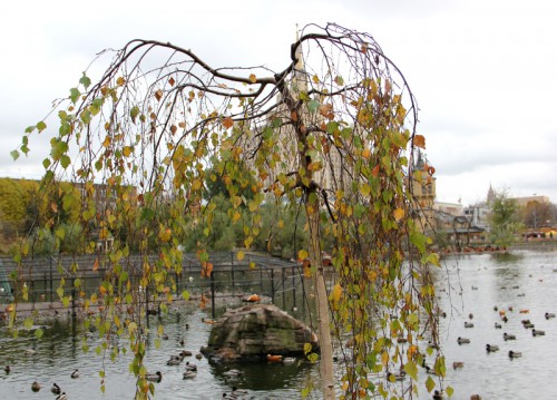 Осень в зоопарке