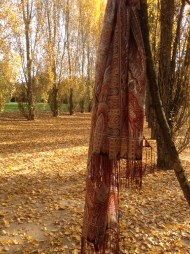 photo 1.JPG