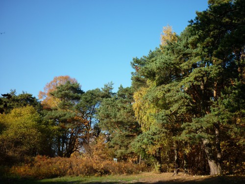 P1170308+.jpg