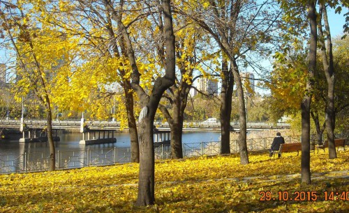 DSCN0096.jpg