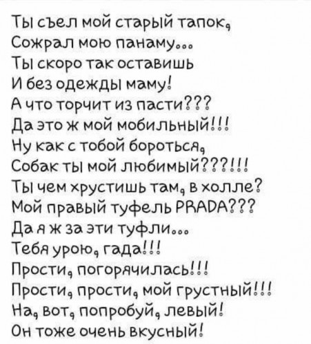про собак.jpg