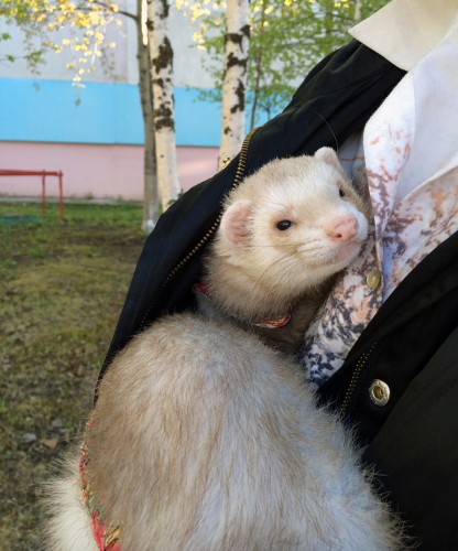 на прогулке...трусишка