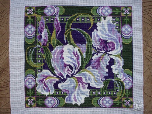 Ирисы от &quot;Риолис&quot;.