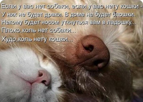 Если у вас нет.jpg
