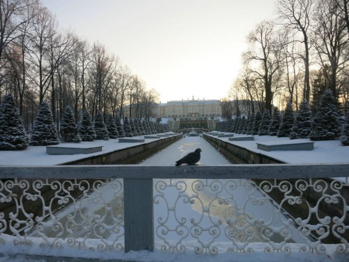 06.01.16 160 [Разрешение рабочего стола].jpg