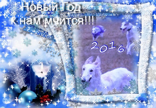нов год1.jpg