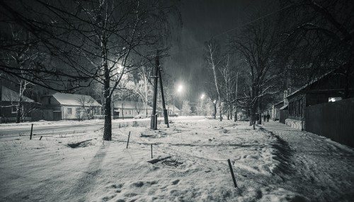 IMG_6512.jpg