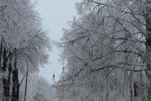 IMG_8668.JPG