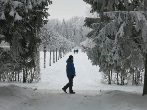 17.01.16 309 [Разрешение рабочего стола].jpg