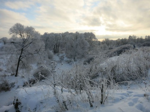 17.01.16 453 [Разрешение рабочего стола].jpg