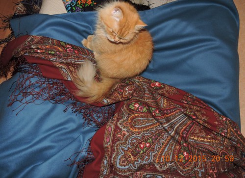 DSCN0321.JPG