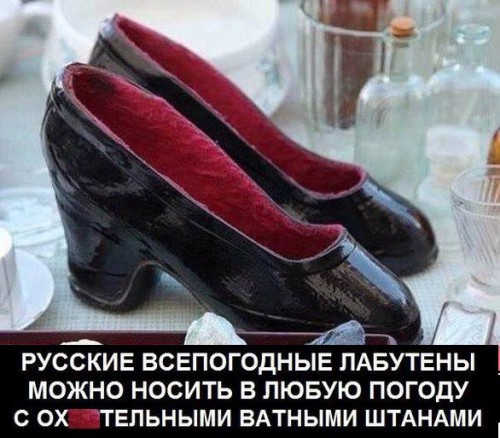 7045083.jpg