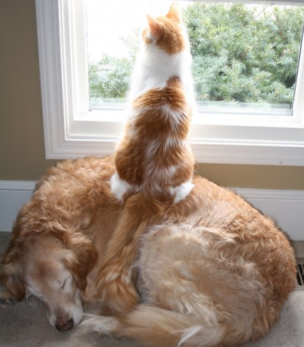 teamwork.jpg
