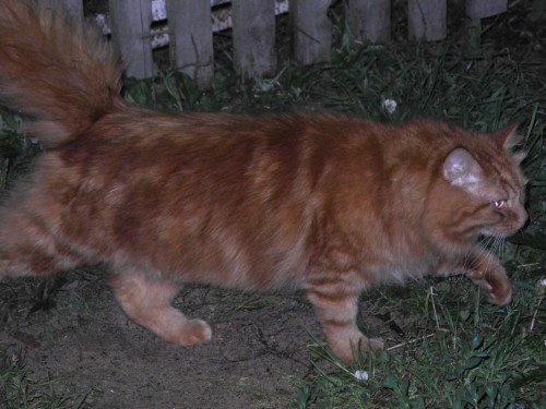 DSCN0388.JPG