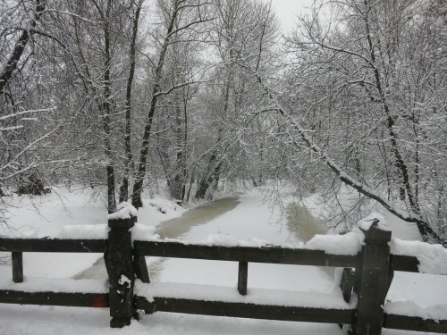 23.02.16 012 [Разрешение рабочего стола].jpg