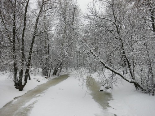 23.02.16 009 [Разрешение рабочего стола].jpg