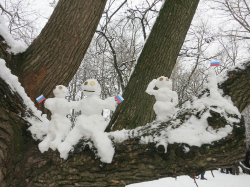 23.02.16 213 [Разрешение рабочего стола].jpg