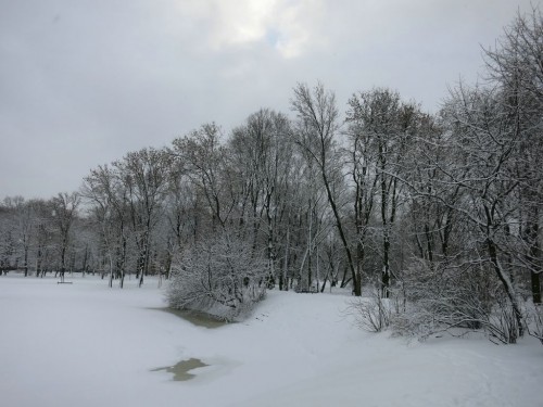 23.02.16 044 [Разрешение рабочего стола].jpg