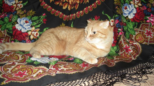 Мотильда и БР-18