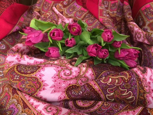 photo 1 (Copy).jpg