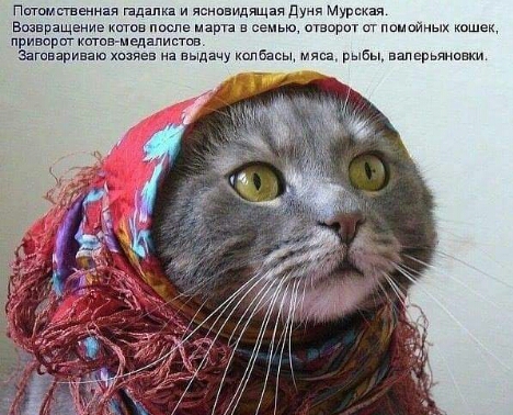 Дуня.jpg