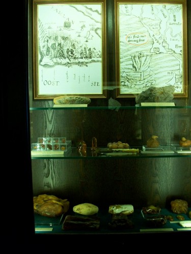 100_9485.JPG
